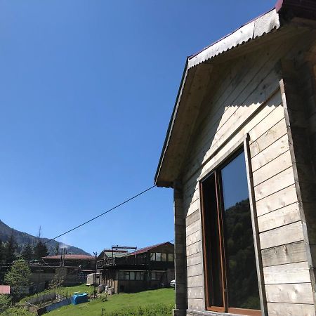 Ayder Selale Apart Villa Exterior foto